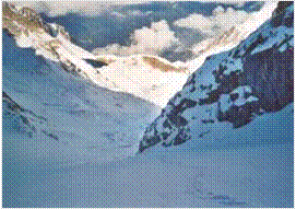 Première neige...